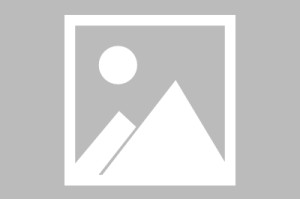 LCK早早为焦点赛事预热：Peanut和Faker的第一百场对决